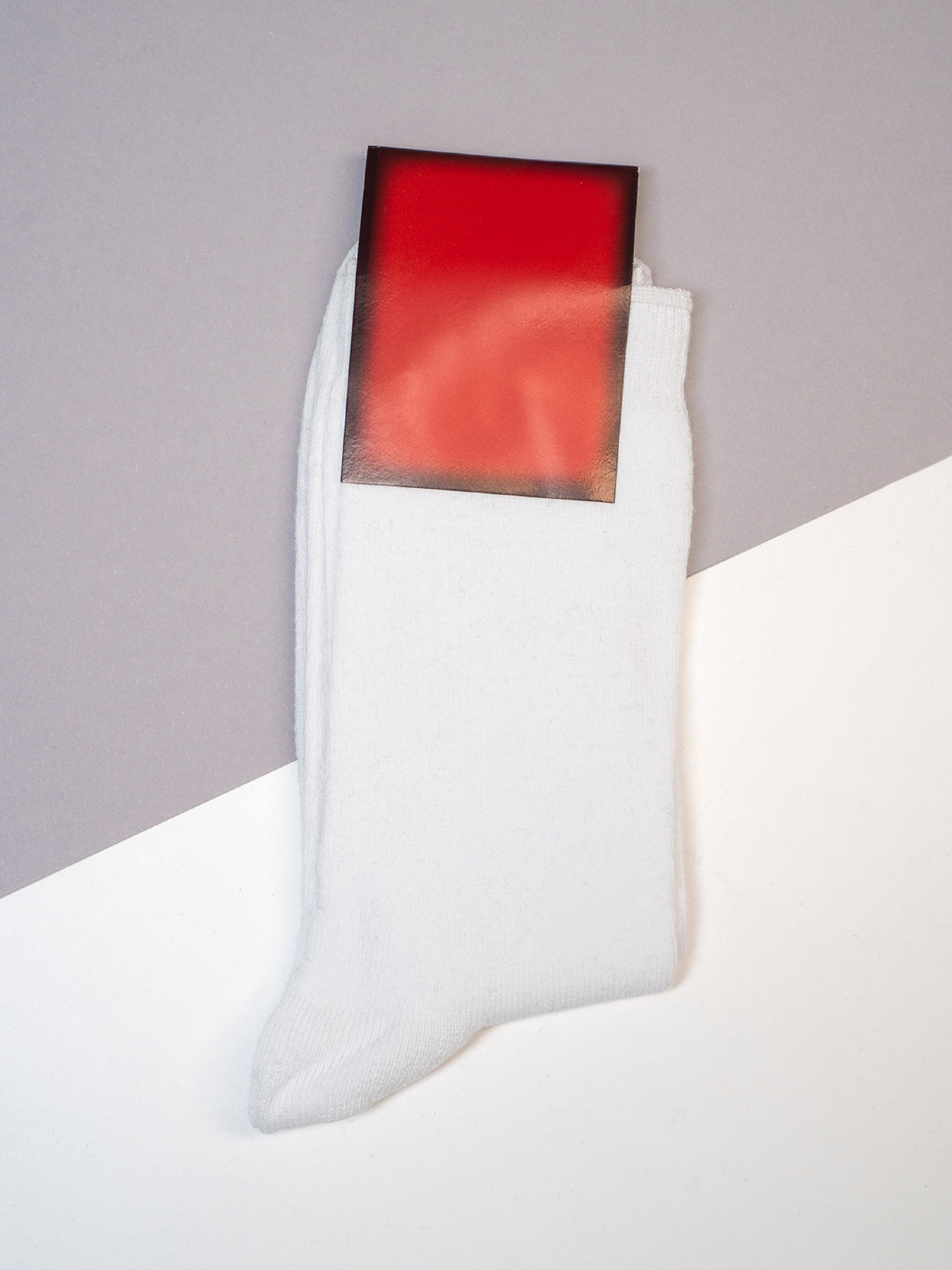 Носки ISSA Plus модель NS-384_белый Фото