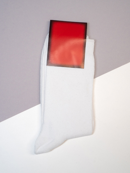 Шкарпетки ISSA Plus модель NS-384_белый Фото