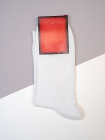 Носки ISSA Plus модель NS-384_белый Фото