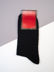 Шкарпетки ISSA Plus модель NS-384_черный Фото