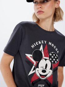 Футболка SPRINGFIELD модель 1388331-40 Футболка SPRINGFIELD модель 1388331-40 Фото