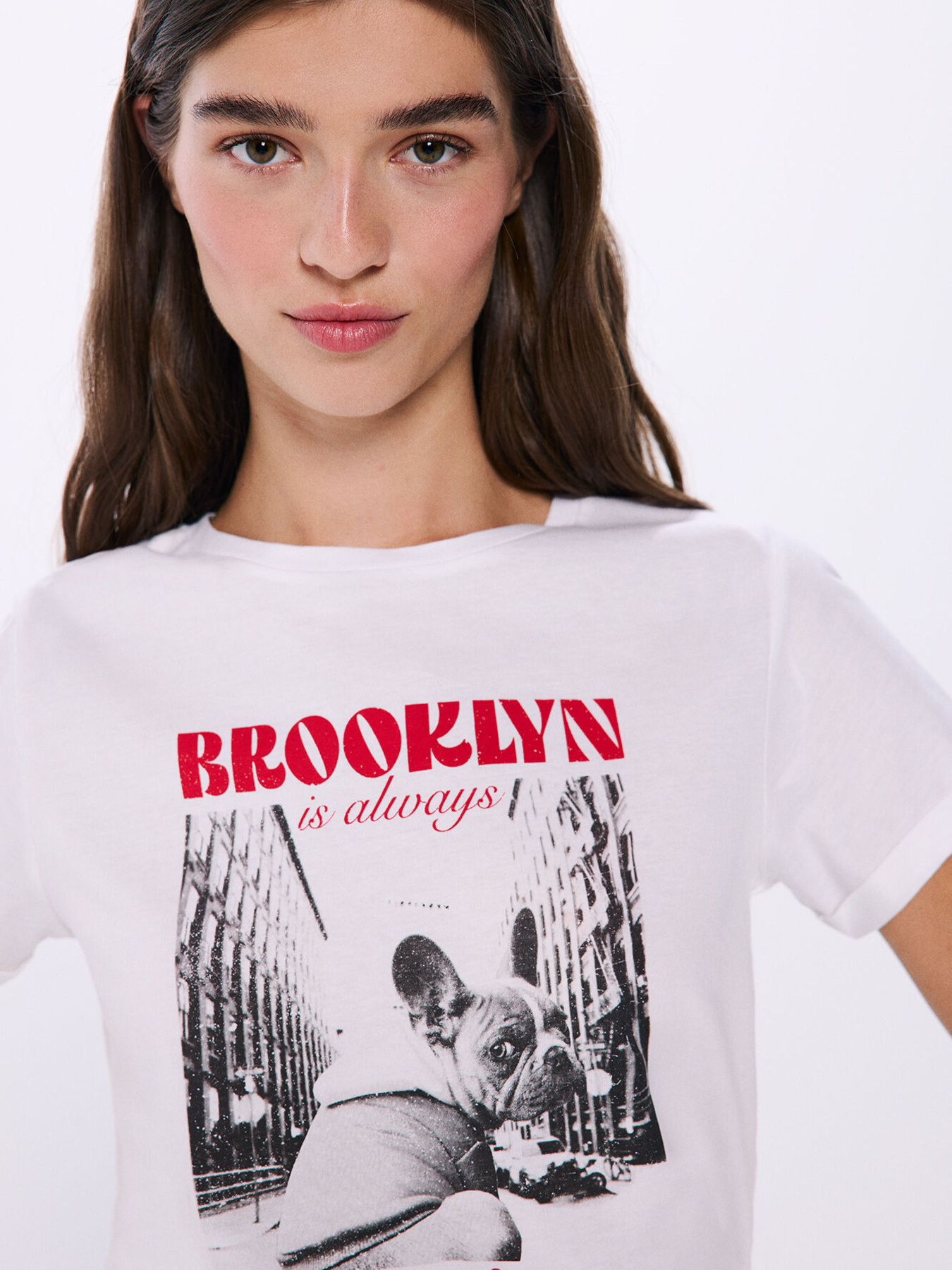 Футболка SPRINGFIELD модель 1388350-53 Фото