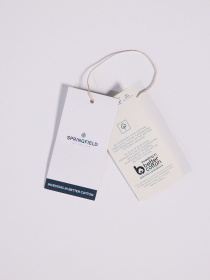 Футболка SPRINGFIELD модель 1388350-53 Фото