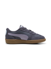 Кеды низкие PUMA Palermo Fc Ps модель 397912 Фото