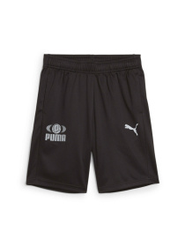Повседневные шорты PUMA Active Sports Poly Shorts модель 681820 Повседневные шорты PUMA Active Sports Poly Shorts модель 681820 Фото