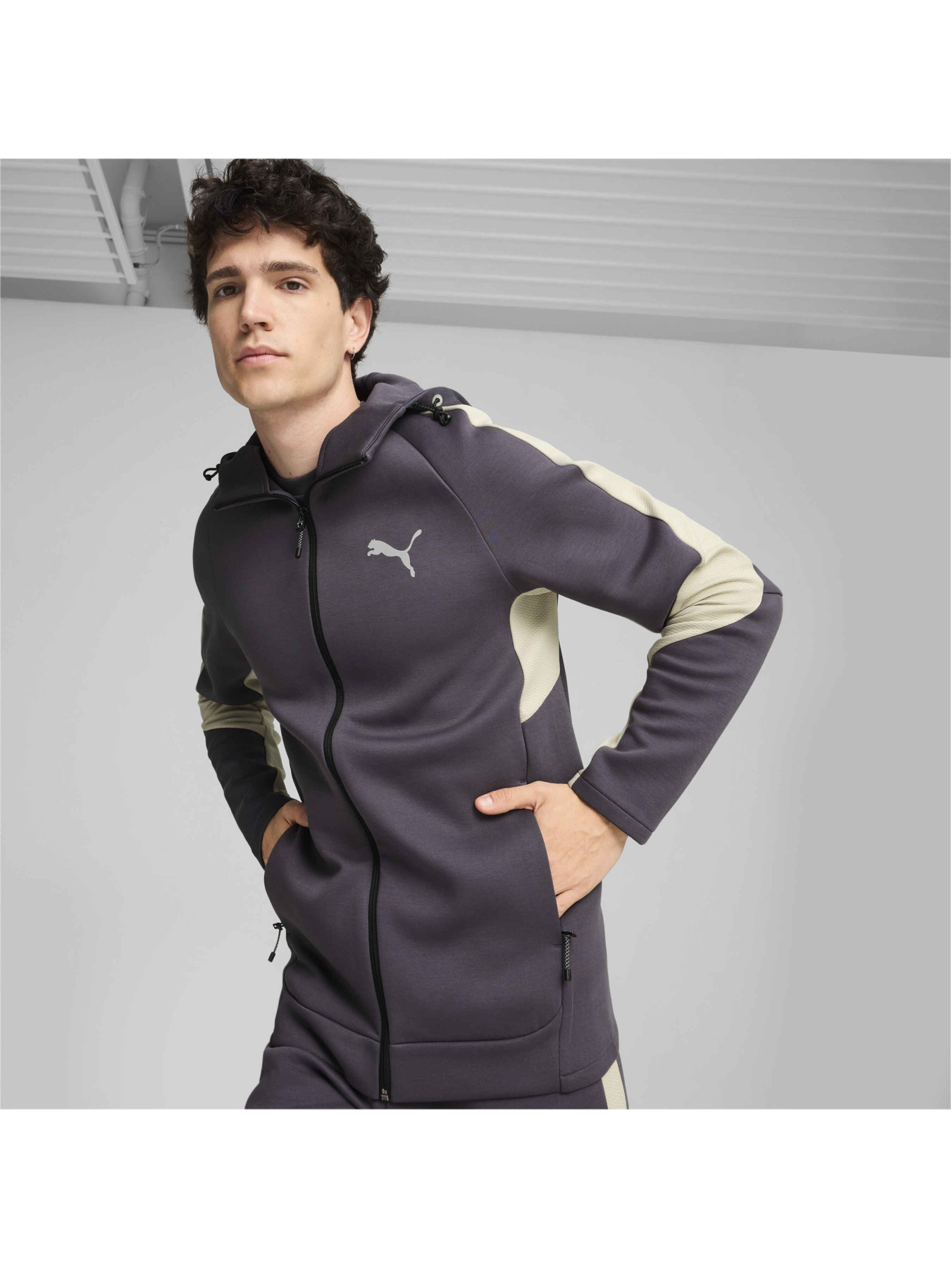 Кофта спортивная PUMA Evostripe Full-zip Hoodie модель 681700 Фото