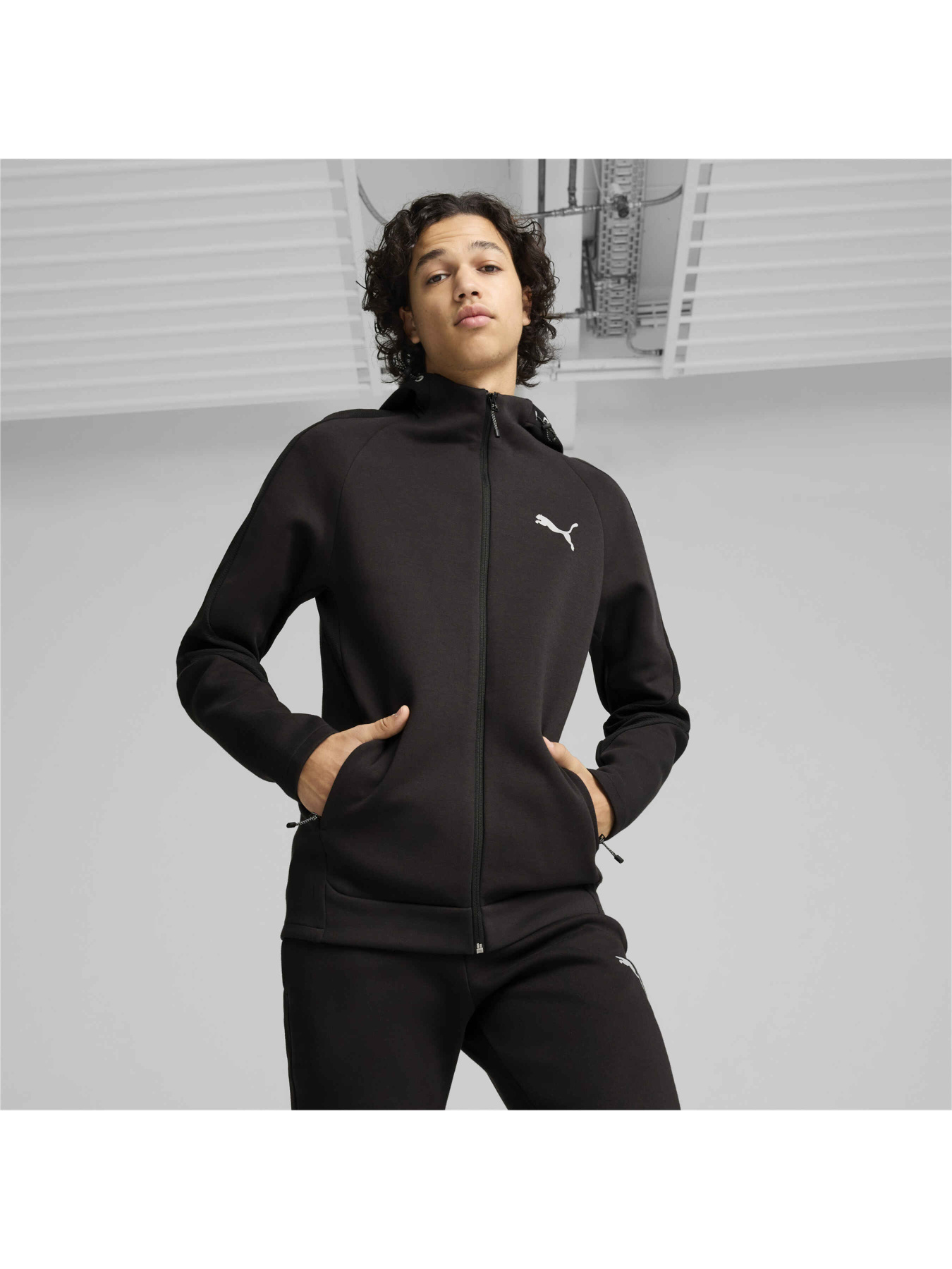 Кофта спортивная PUMA Evostripe Full-zip Hoodie модель 681700 Фото