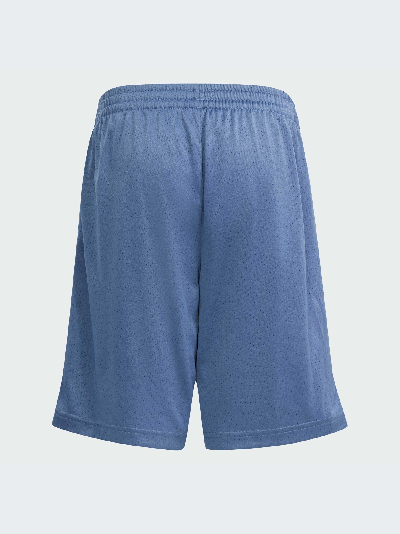 Шорты Adidas модель IM8575-KZ Фото