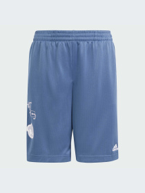 Шорты Adidas модель IM8575-KZ Фото
