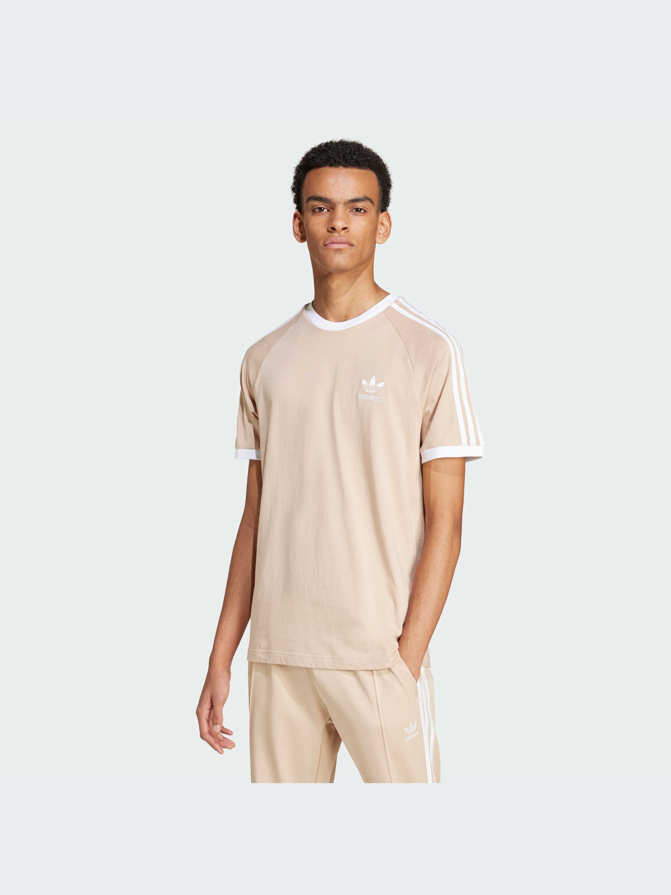 Футболка Adidas Adicolor модель IZ2366 Фото