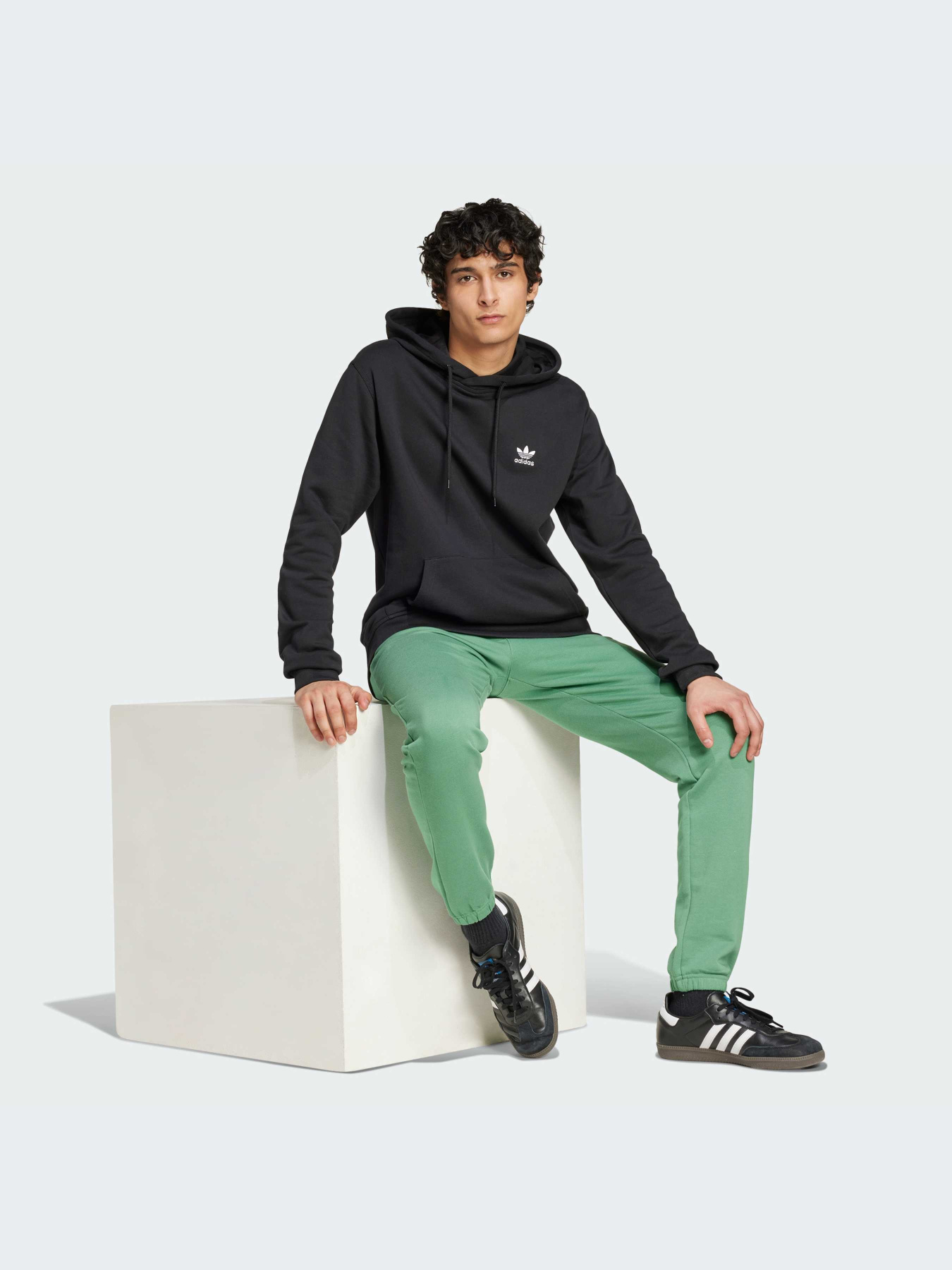 Худи Adidas Trefoil модель IW5789 Фото