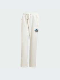 Штани повсякденні Adidas Graphics модель IX6765 Фото