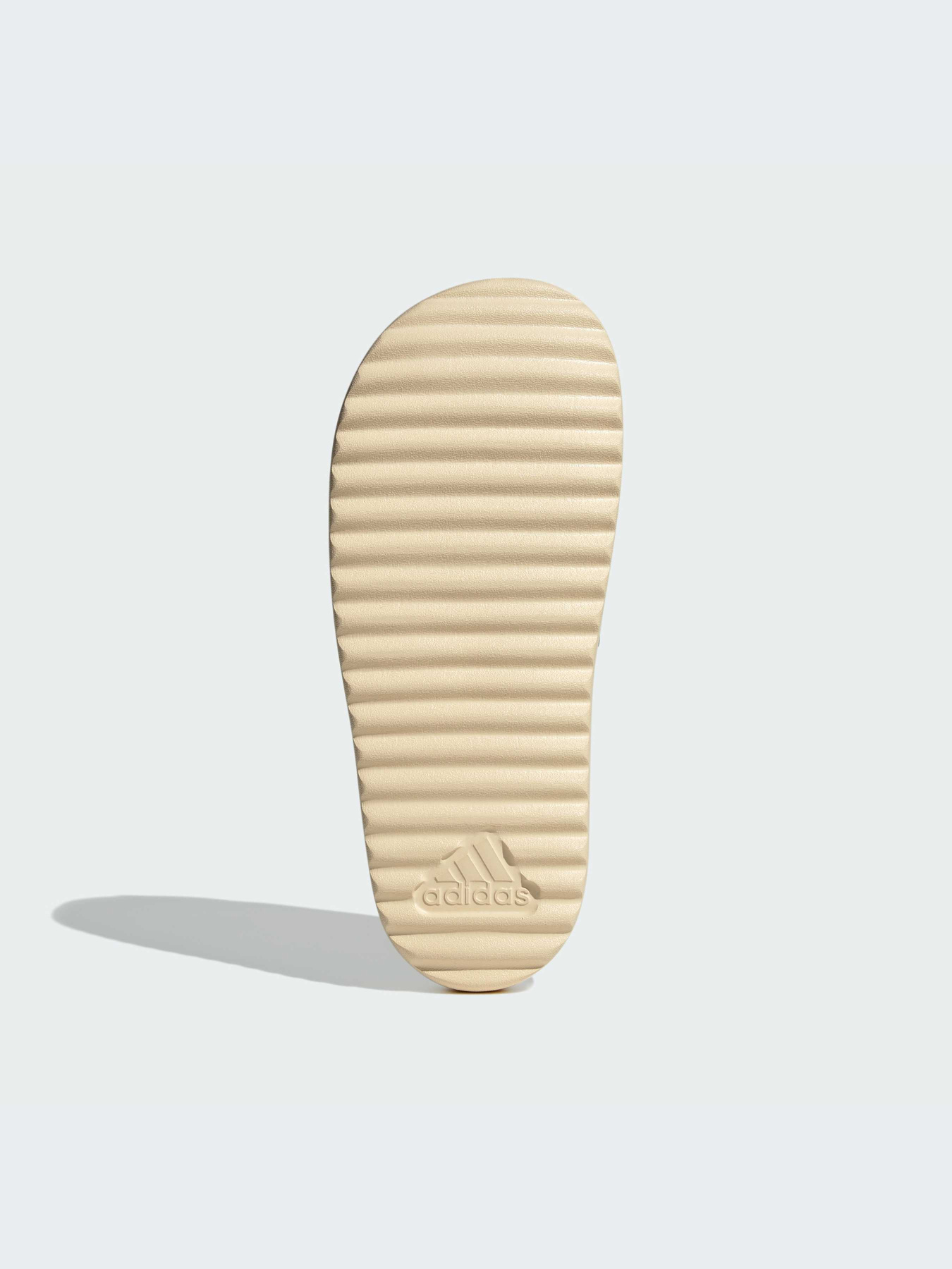 Шлепанцы Adidas модель IH0523 Шлепанцы Adidas модель IH0523 Фото