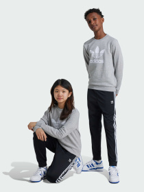 Джогери Adidas Adicolor модель IX7630 Фото