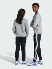 Джогери Adidas Adicolor модель IX7630 Фото