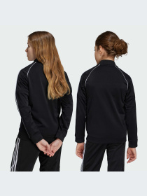 Кофта Adidas Adicolor модель IX7628 Фото