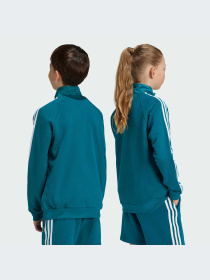 Кофта Adidas Adicolor Модель IY0012 Фото