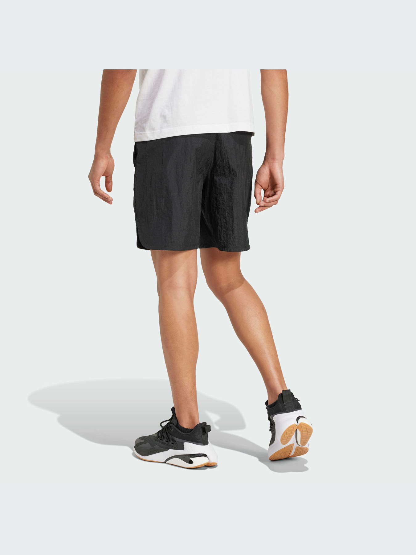 Шорты Adidas модель IY1509 Фото