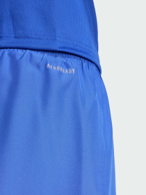 Шорты спортивные Adidas модель IW8456 Фото