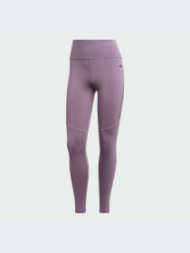 Спортивные леггинсы Adidas модель IJ6857 Фото