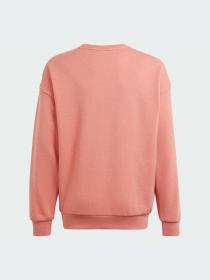 Свитшот Adidas модель IN4329 Фото