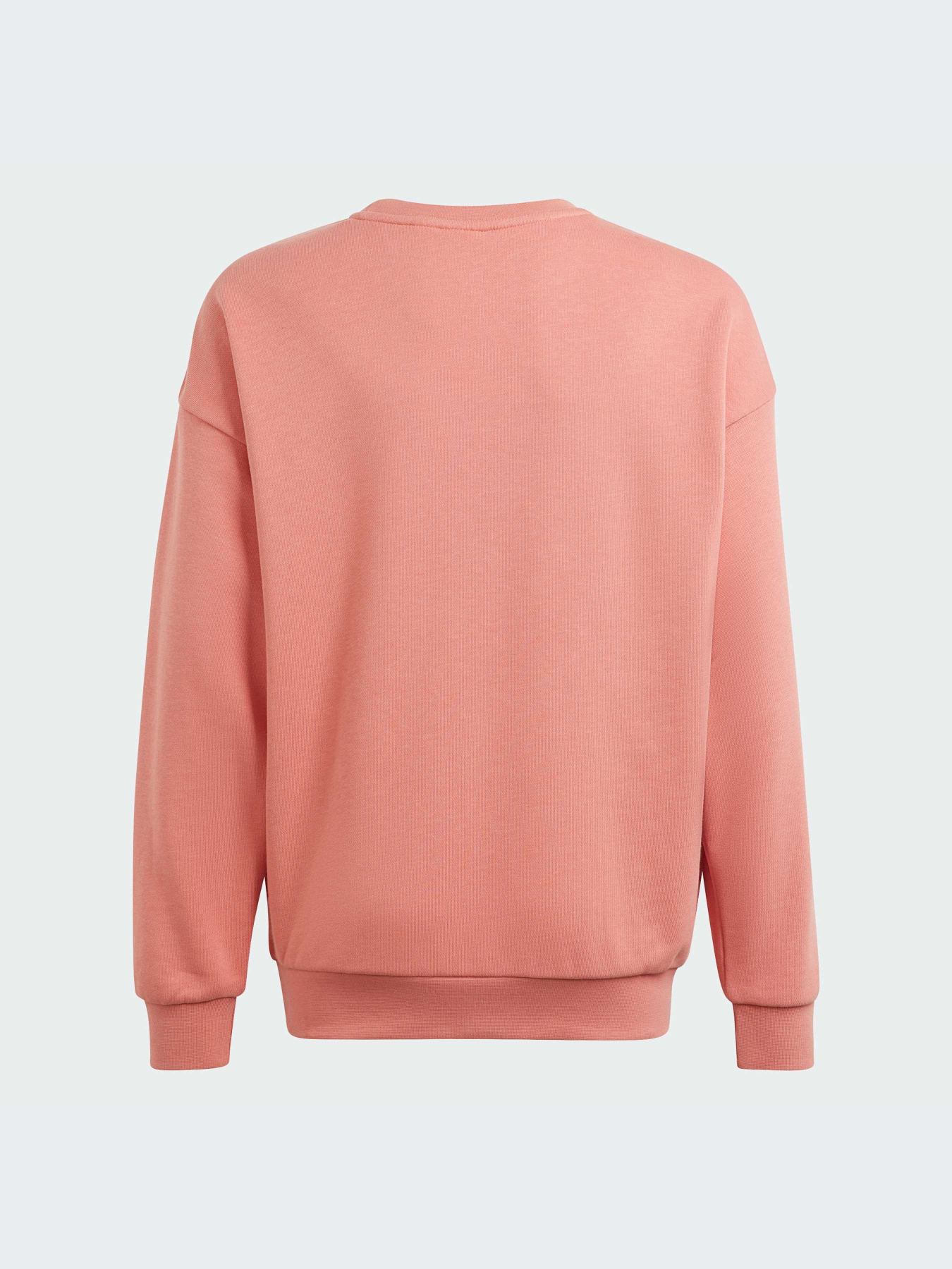 Свитшот Adidas модель IN4329 Свитшот Adidas модель IN4329 Фото