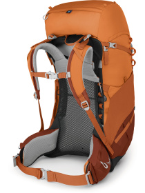 Рюкзак Osprey Ace 50 модель 100070868 Фото