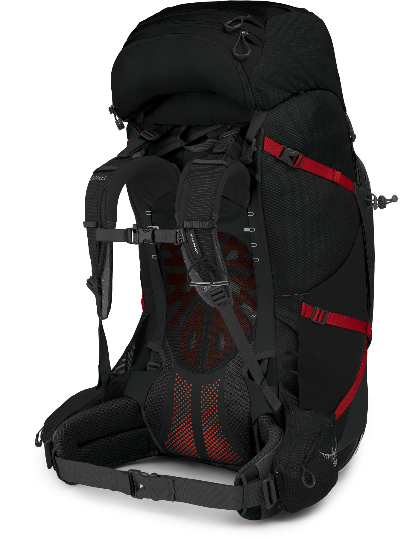 Рюкзак Osprey Aether Plus 100 модель 100070216 Фото