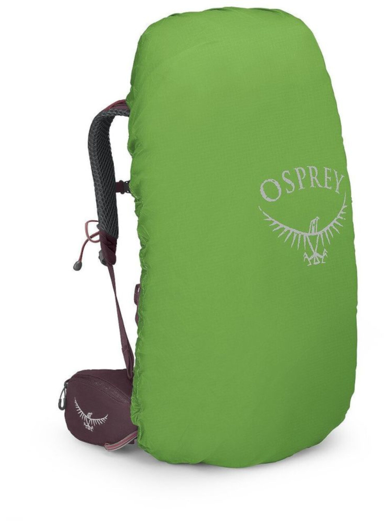 Рюкзак Osprey Kyte 48 модель 100058584 Фото