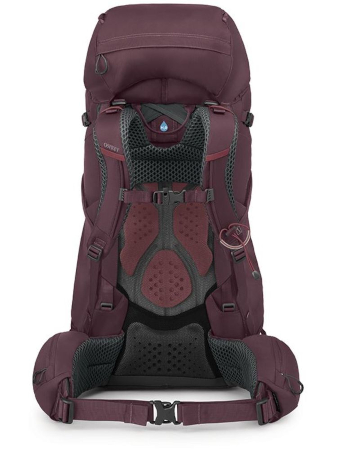 Рюкзак Osprey Kyte 58 модель 100070725 Фото