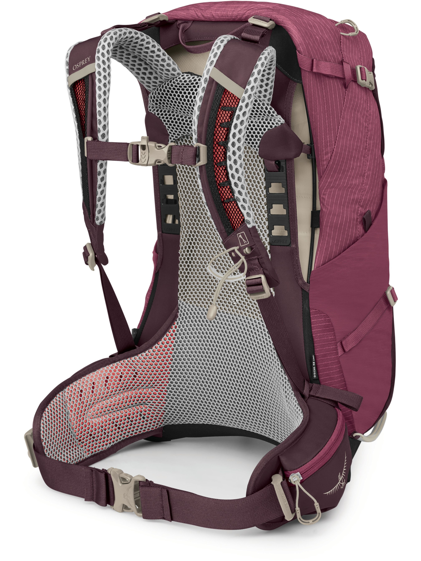 Рюкзак Osprey Sirrus 24 модель 100037356 Фото