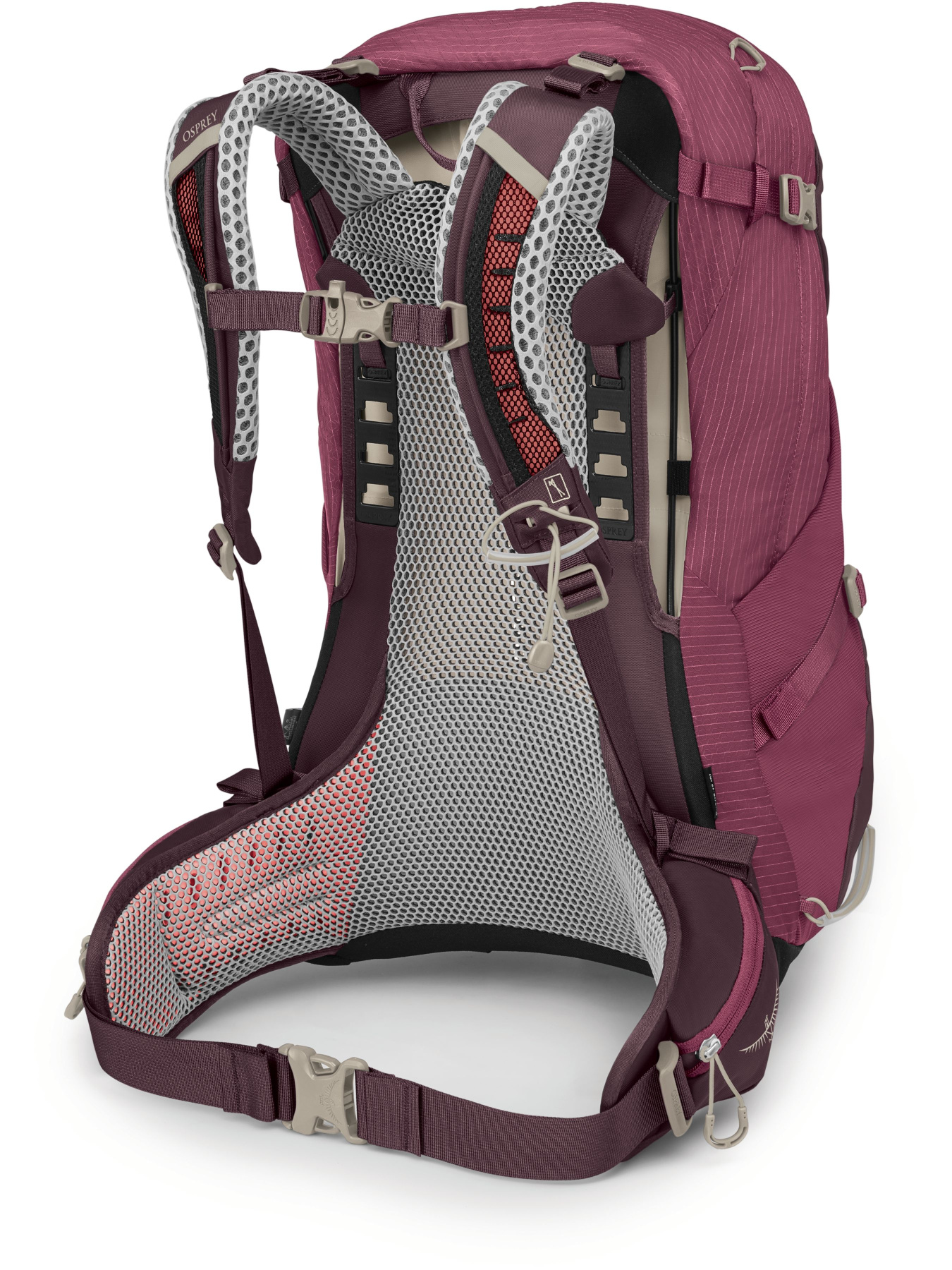 Рюкзак Osprey Sirrus 34 модель 100074041 Фото