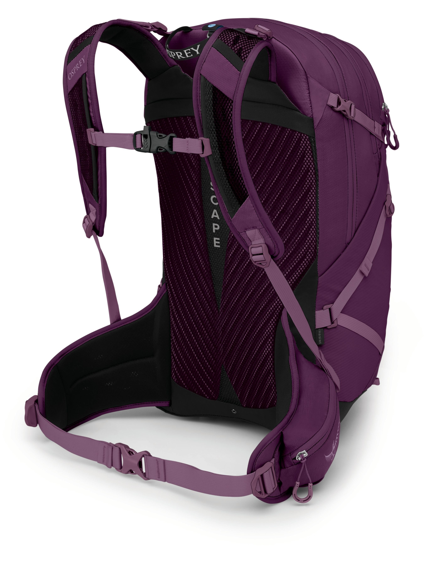 Рюкзак Osprey Sportlite 25 модель 100066054 Фото
