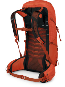 Повсякденний рюкзак Osprey Talon Pro 30 модель 100074054 Фото