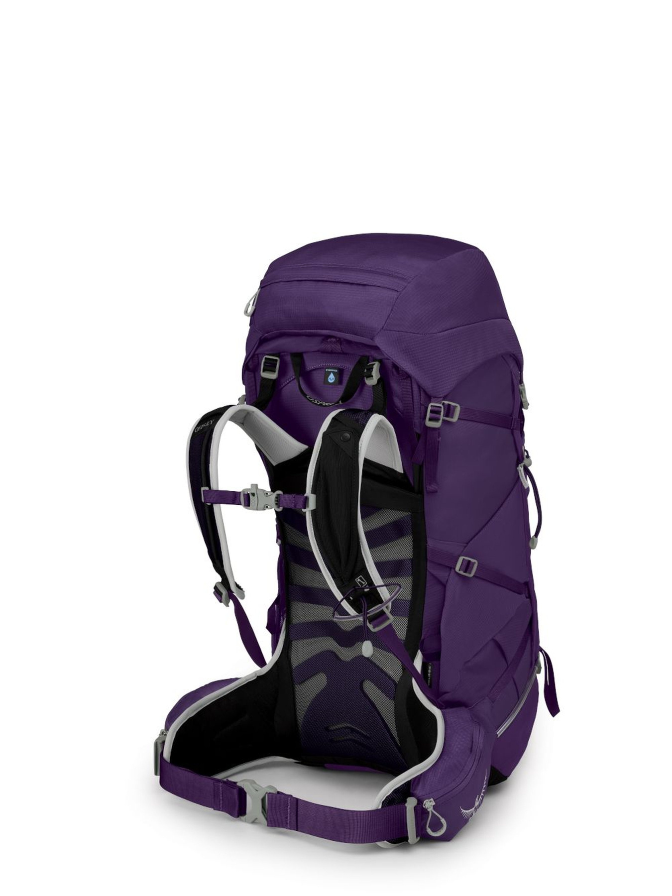 Повсякденний рюкзак Osprey Tempest 40 модель 100065289 Фото