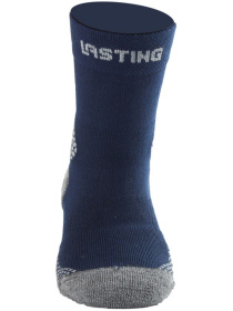 Носки LASTING Tjc модель 100068416 Фото