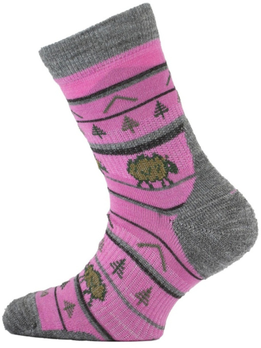 Носки LASTING Tjl модель 100072905 Фото