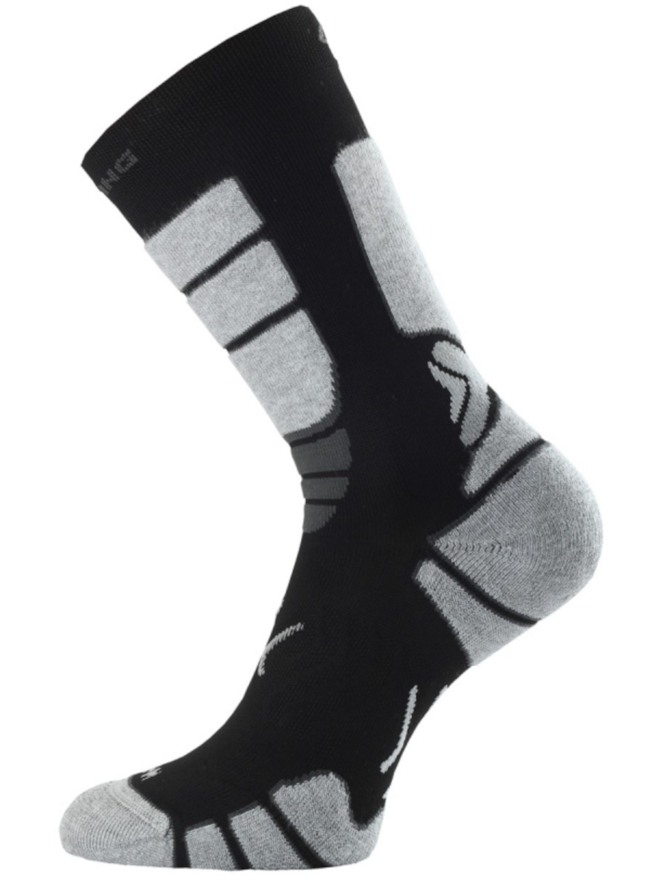 Шкарпетки LASTING Ilr модель 100062110 Фото