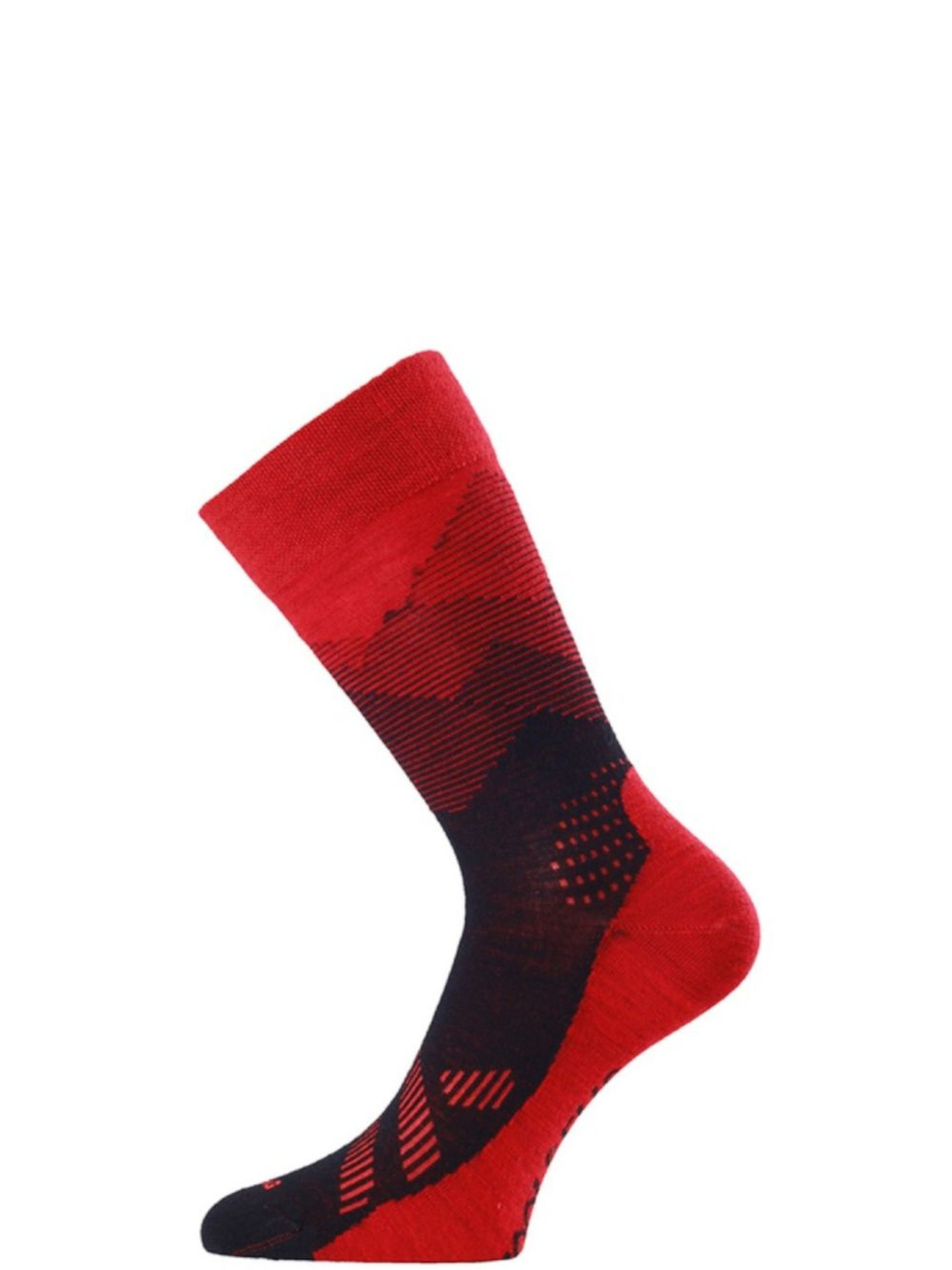 Носки LASTING Fwo модель 100038175 Фото