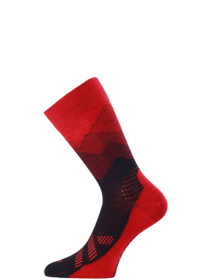 Носки LASTING Fwo модель 100038175 Фото