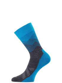 Шкарпетки LASTING Fwo Модель 100038297 Фото