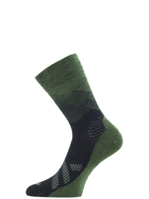 Носки LASTING Fwo модель 100072837 Фото