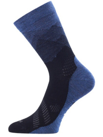 Носки LASTING Fwr модель 100050172 Фото