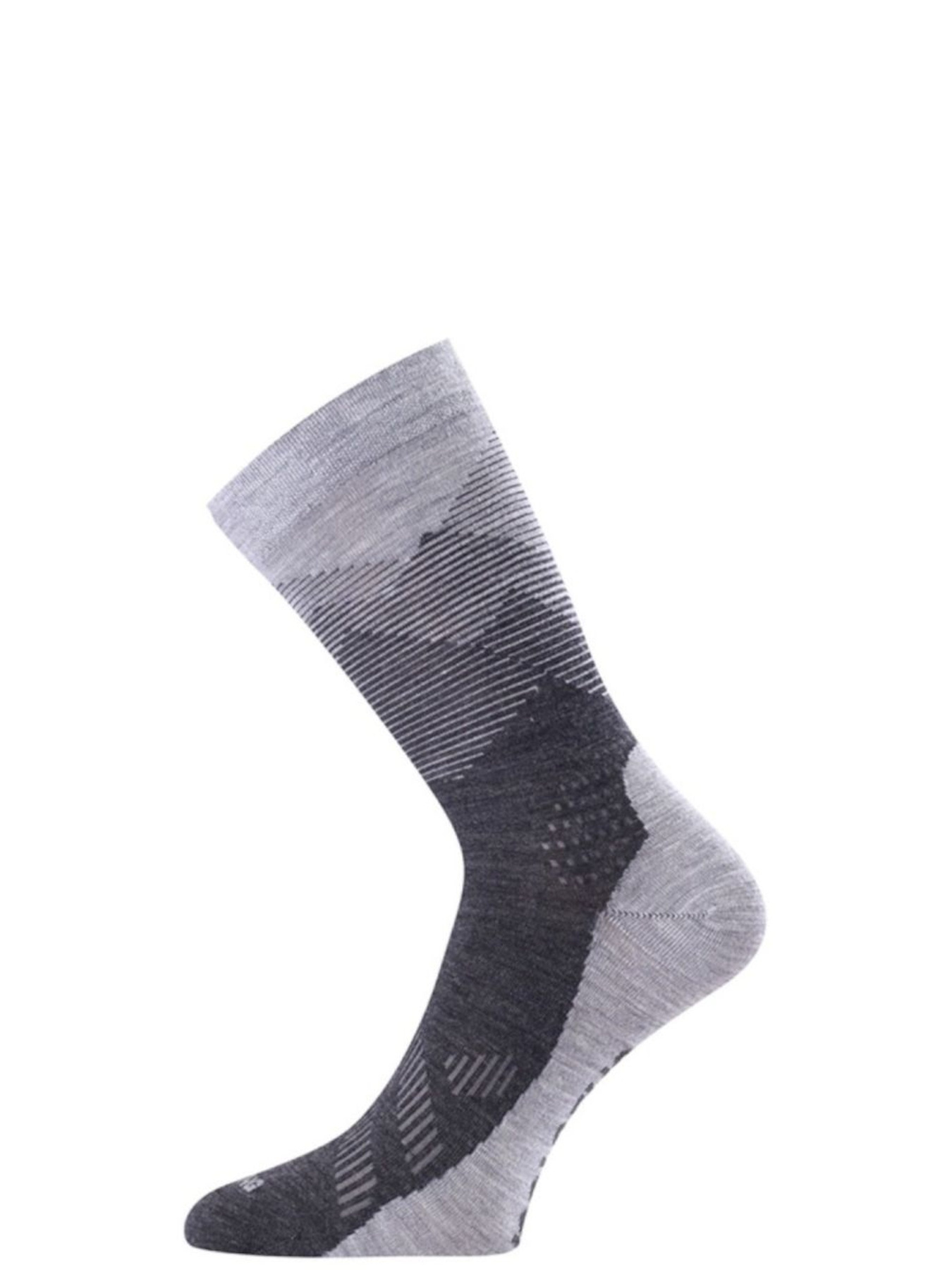 Носки LASTING Fwr модель 100072838 Фото