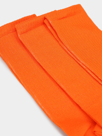 Набір шкарпеток Ейсік модель VelykyiNabirPomaranchevyi Фото