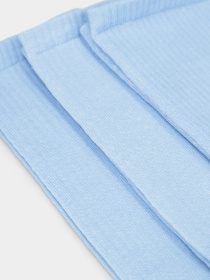 Набор носков Ейсік модель MiniNabirBlakytnyi Фото