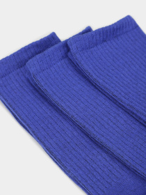 Набор носков Ейсік модель MiniNabirSnii Фото