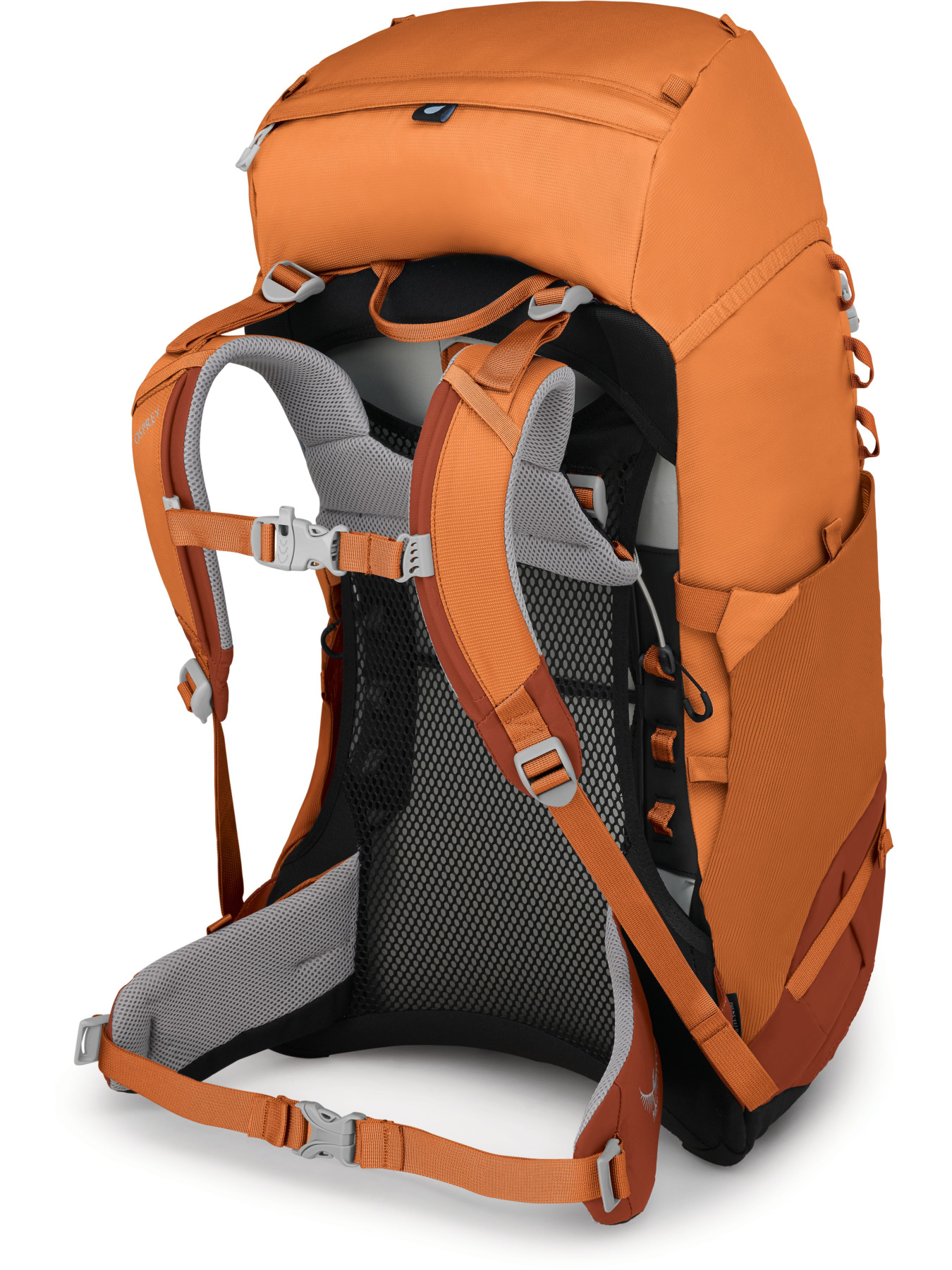 Рюкзак Osprey Ace 38 модель 100071822 Фото