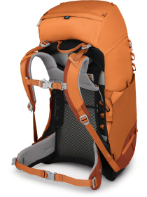 Рюкзак Osprey Ace 38 модель 100071822 Фото