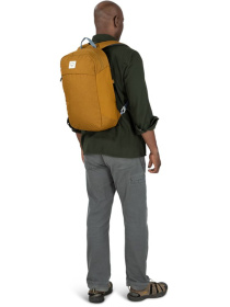 Рюкзак Osprey Arcane Large Day модель 100063930 Фото